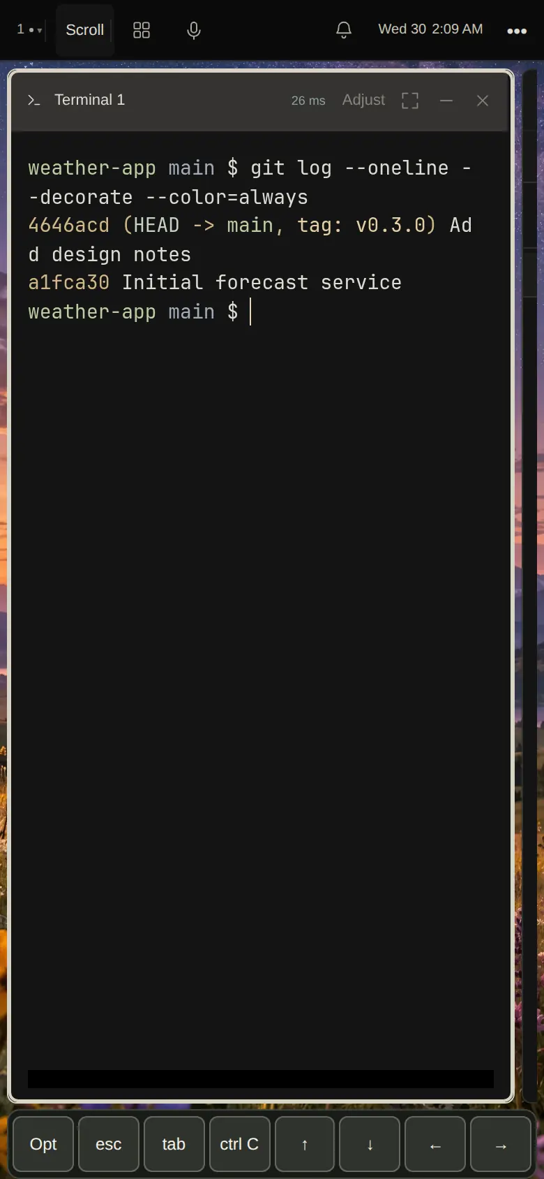 The desktop on a phone with a terminal and the touch key row