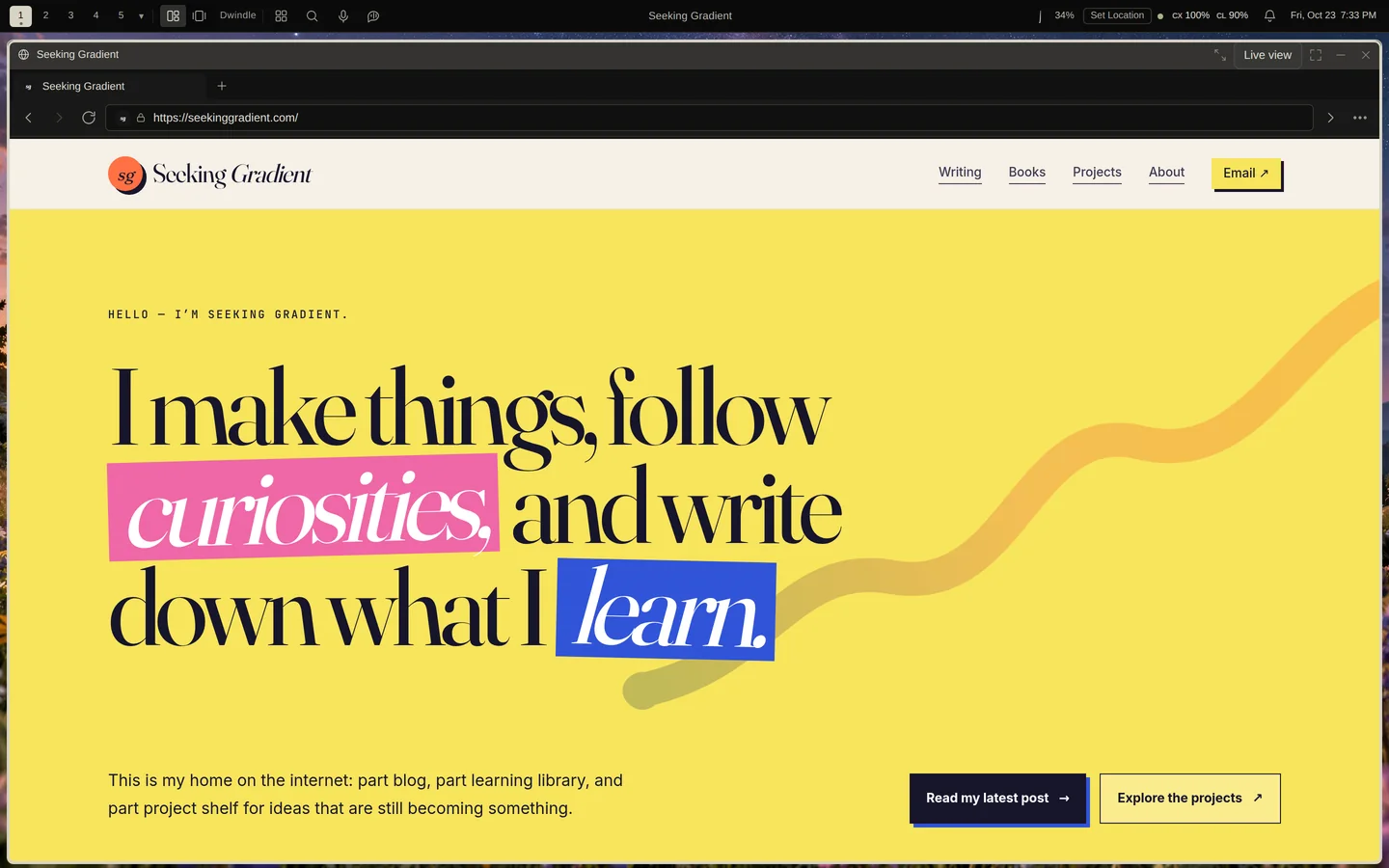 CloudWindow with a browser open on Seeking Gradient